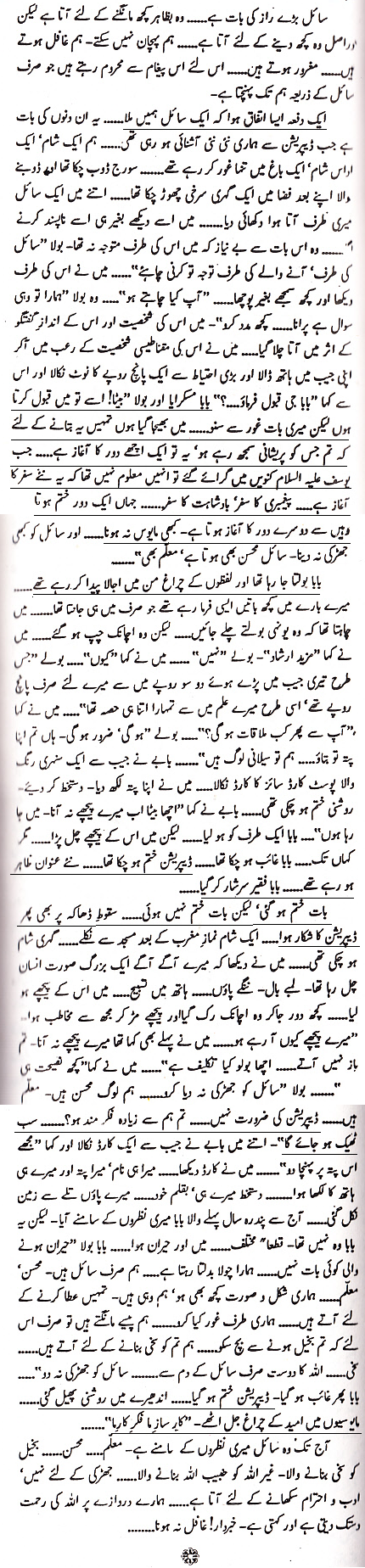 essay for sahil e samandar in urdu